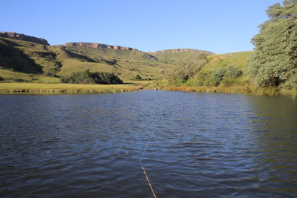 04 15 01 24 Tierhoek 1 by Terry Andrews