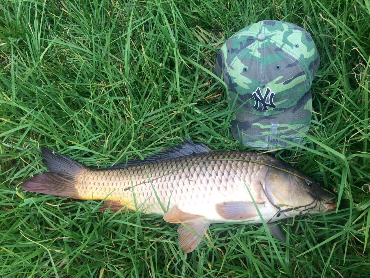 07 15 01 25 Carp y Sven Turner