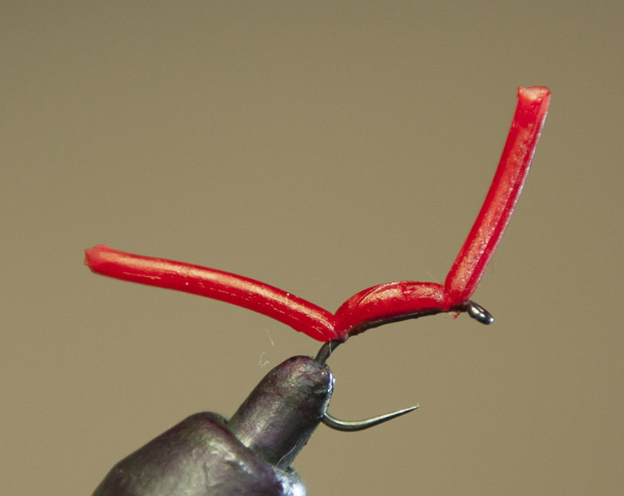 10087 Ed Herbst 0869