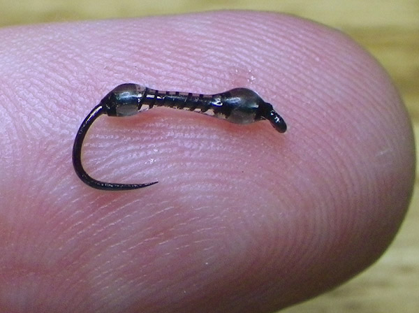 18 After Smulid Nymph 2 a