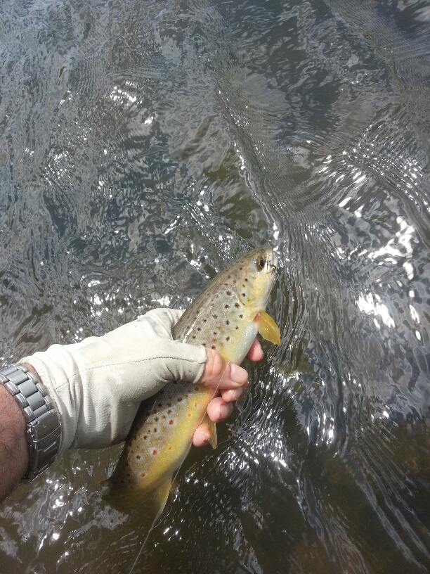 201501220 111516 Mooi River