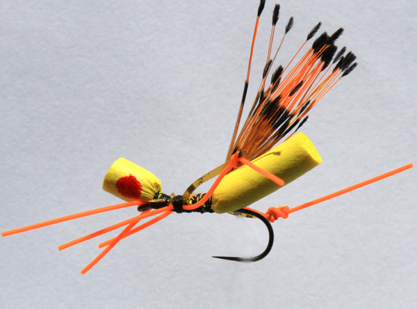 28 Eds Hopper 1