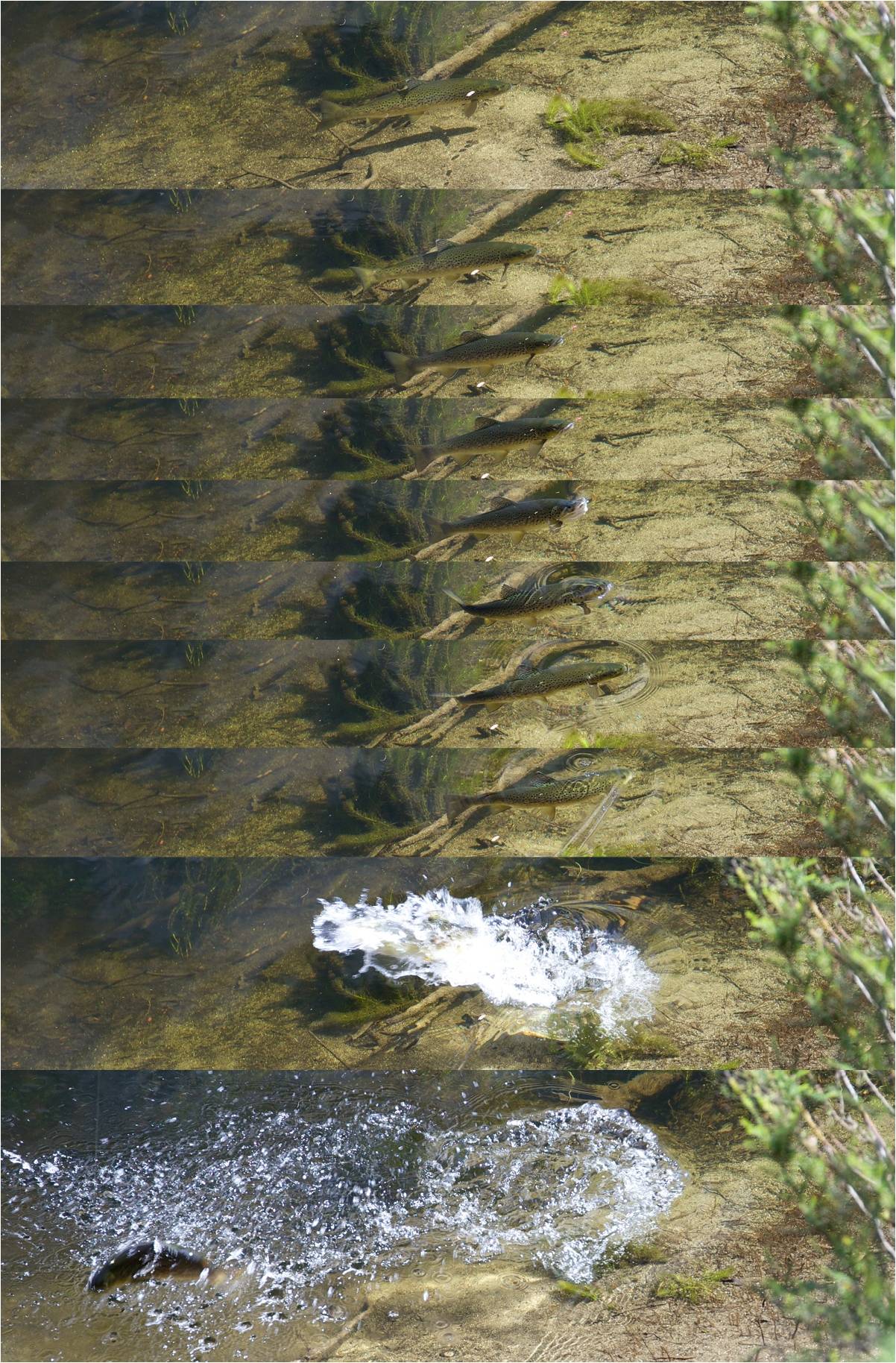 Picture4