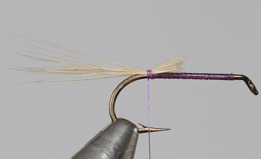 5 Kites Imperial
