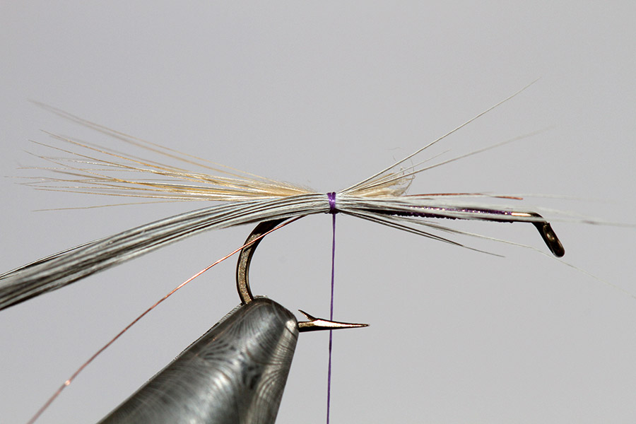 6 Kites Imperial