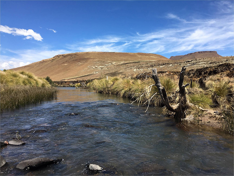 Coldbrook stream ECH