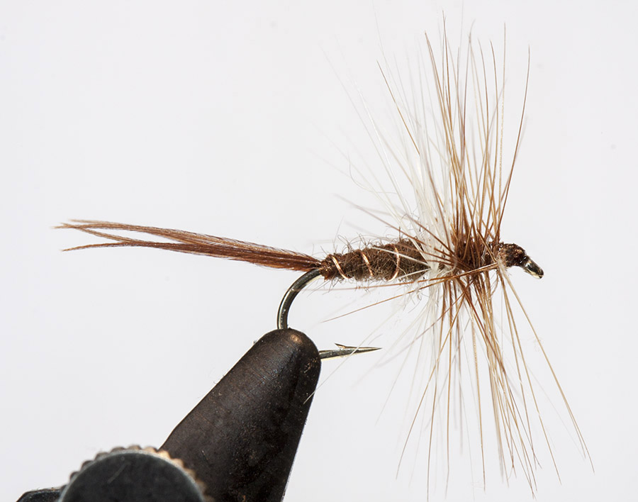 Oliver Kites Mayfly 2