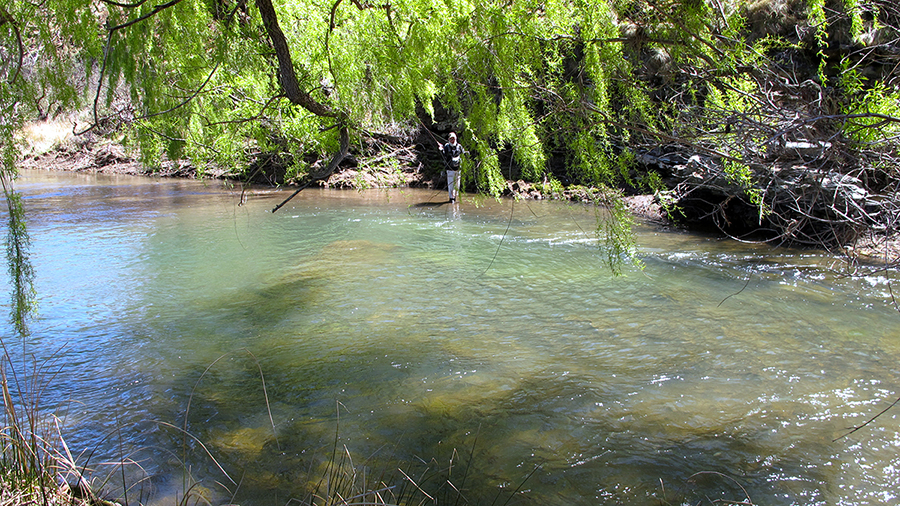 13 Angler on Sterkspruit Birkhall
