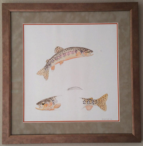 FR Kern River Golkden trout