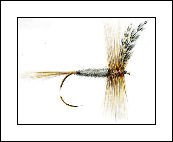 ADAMS DRY FLY T J SUTCLIFFE782