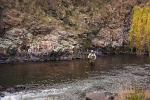 Branksome gorge