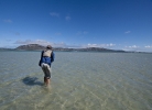 Sand shark photo essay