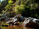 Small streams (1)
