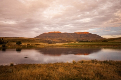 May 2021 Fly-Fishing Newsletter