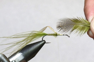 Gordon Van der Spuy&rsquo;s tying tips Part 4 &ndash; Legs
