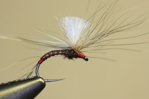 TYING PHILIP MEYER&rsquo;S PARA-RAB