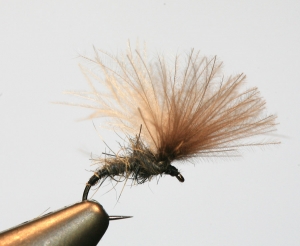 CDC &ndash; Part 2 from Gordon Van der Spuy's tying tips series &ndash; Adaptability, tying a useful Shuttlecock pattern and How to make a Plan!