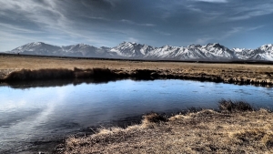 Extracts from my 15 February 2015 Fly Fishing Newsletter