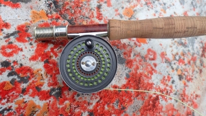 MY 19 OCTOBER 2014 FLY FISHING NEWSLETTER