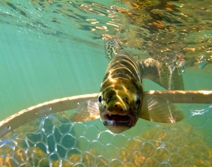 SEPTEMBER 2013's FAVOURITE IMAGES