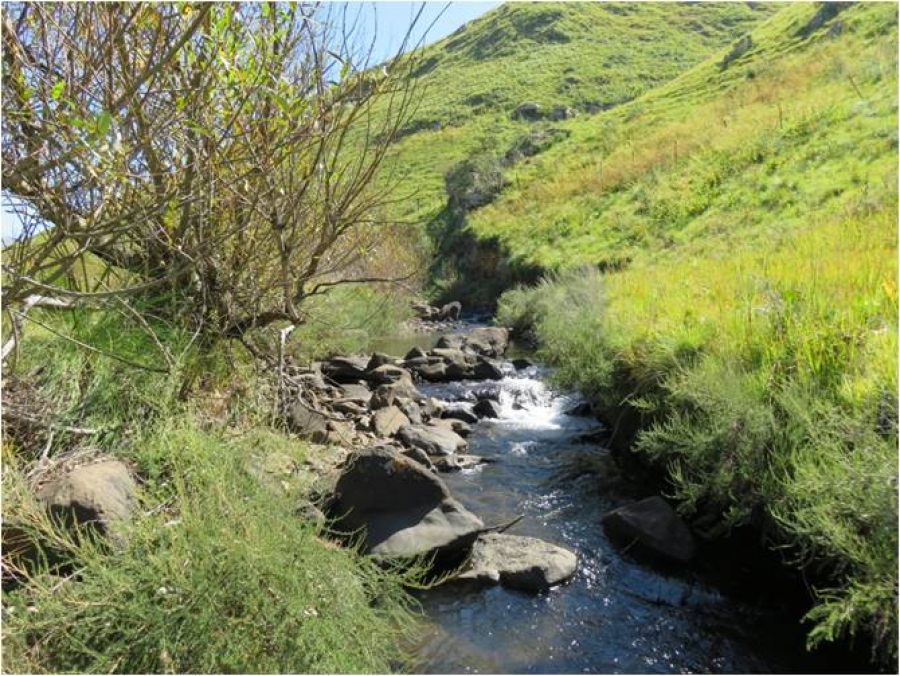 Vrederus, April 2016