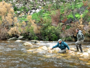 Taking nymphing to a new level &ndash; By Ed Herbst