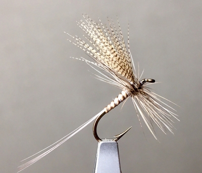 April 2021 Fly-Fishing Newsletter