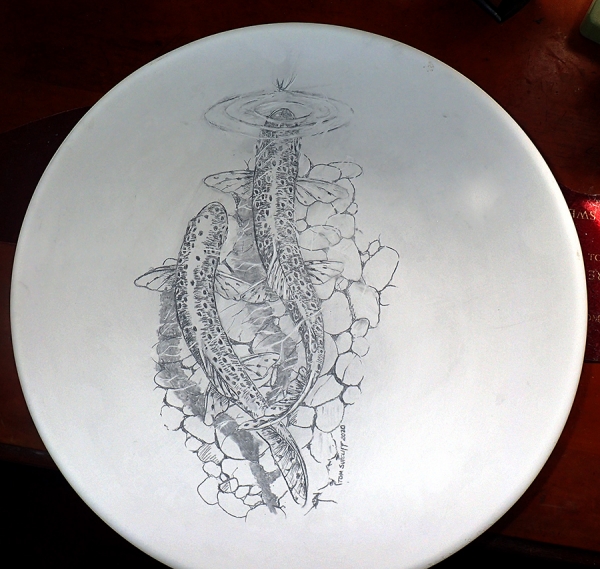 Two trout over pebbles - available