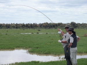 Barbel on Beetles by Ed Herbst