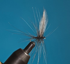 Keeping dry flies afloat &ndash; by Ed Herbst