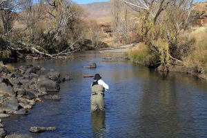 Recent fishing around Rhodes &ndash; text and images from Tony Kietzman.