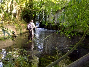 THE RIVER WANDLE, LONDON&rsquo;S TINY AND VERY HISTORIC CHALK STREAM