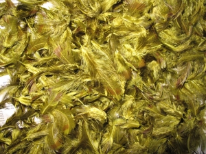 HOW TO DYE FEATHERS AND FURS USING VENIARDS DYES