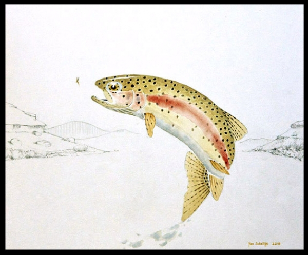 Rainbow at Spurwing, Highland Lodge