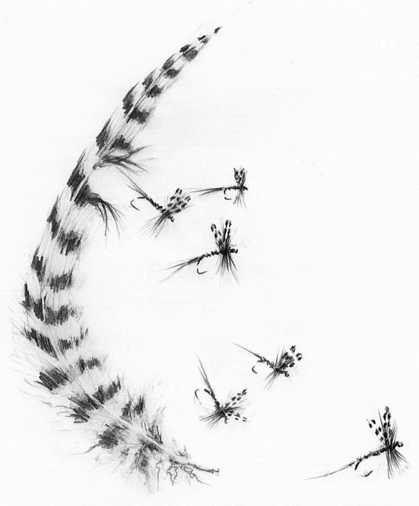 Feathers and flies from Hunting Trout 3rd edition