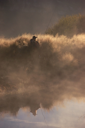 Reflection of the Day