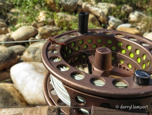 EXTRACTS FROM MY NOVEMBER 2015 NEWSLETTER