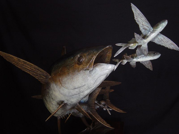 14. Yellowfin tuna chasing flying fish