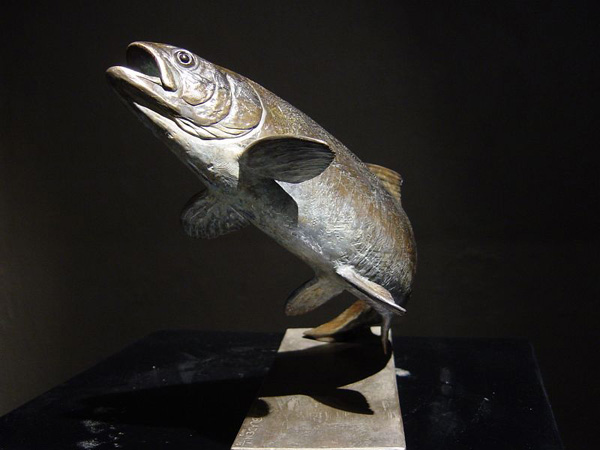 2. A trout rising to the fly