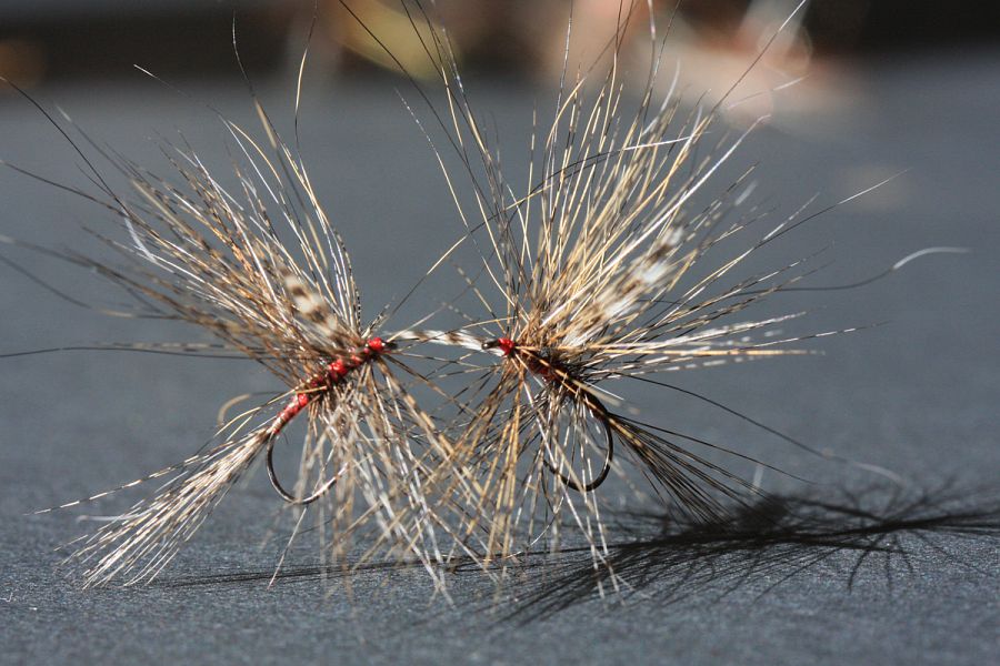A_typical_dry_fly_the_RAB_red