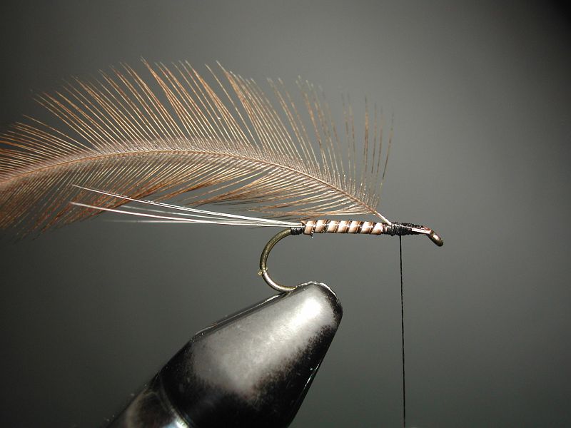 Agostino_Roncallo_Parachute_flies_13