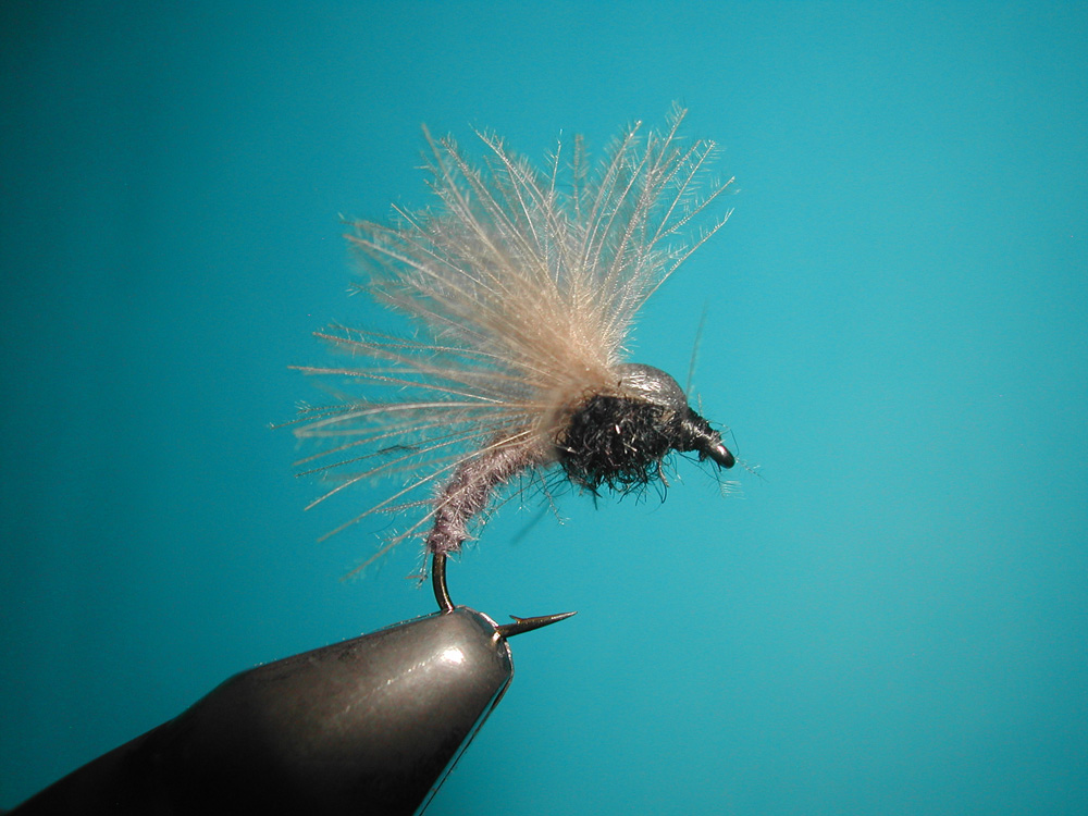 Agostino Roncallo Upset Hackle dry fly 1