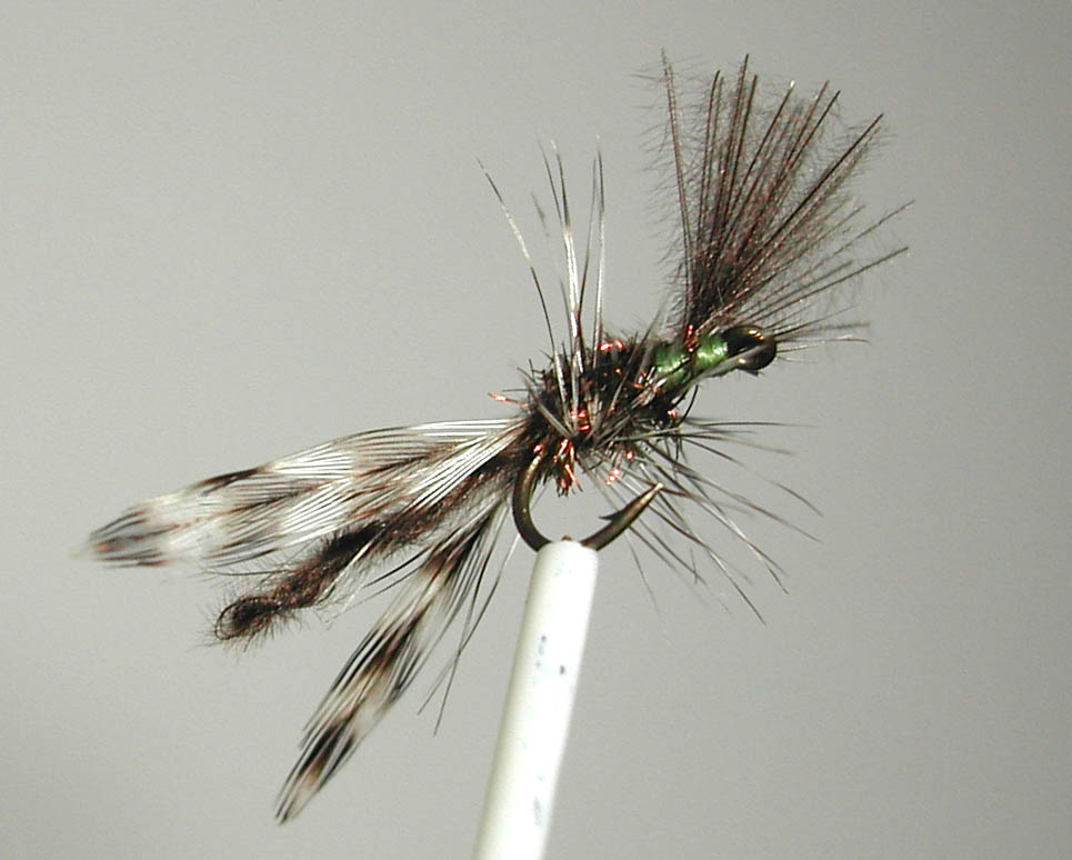 Agostino_Roncallos_Midge_1