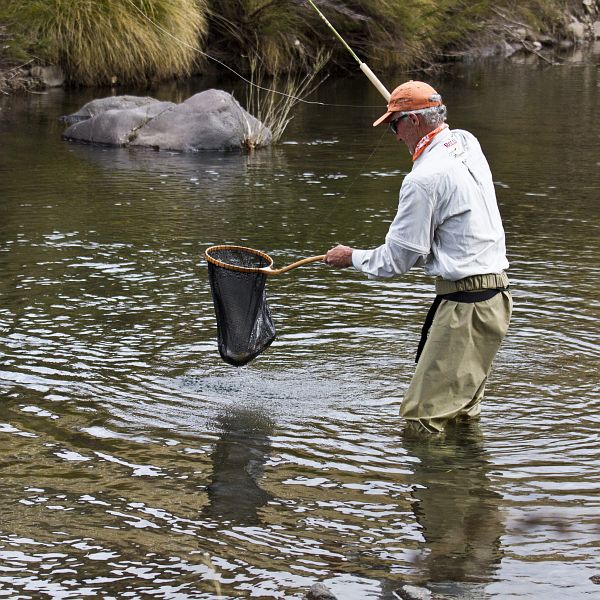 Brucedell_rainbow_trout