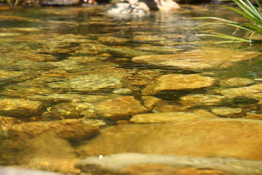 A_perfect_example_of_a_draped_shadow_4