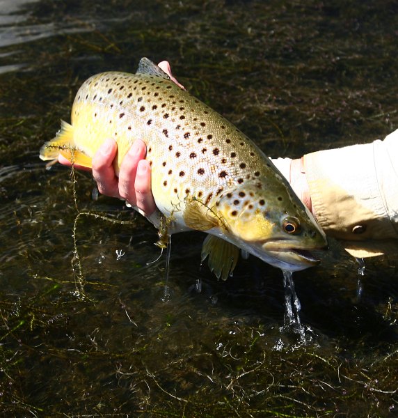 Stillwater_scenes_16