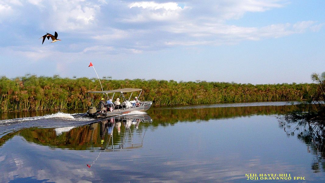 Fly_Fishing_the_Okavango_Delta_2