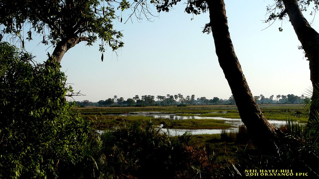 Fly_Fishing_the_Okavango_Delta_3