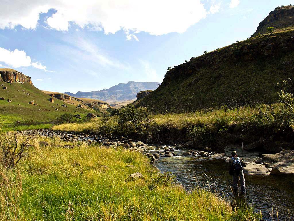 Fly_fishing_Drakensberg_streams_5