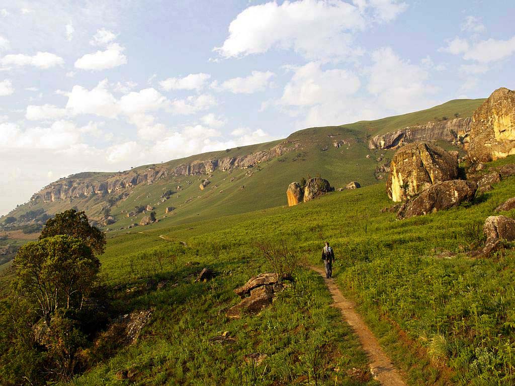 Fly_fishing_Drakensberg_streams_7